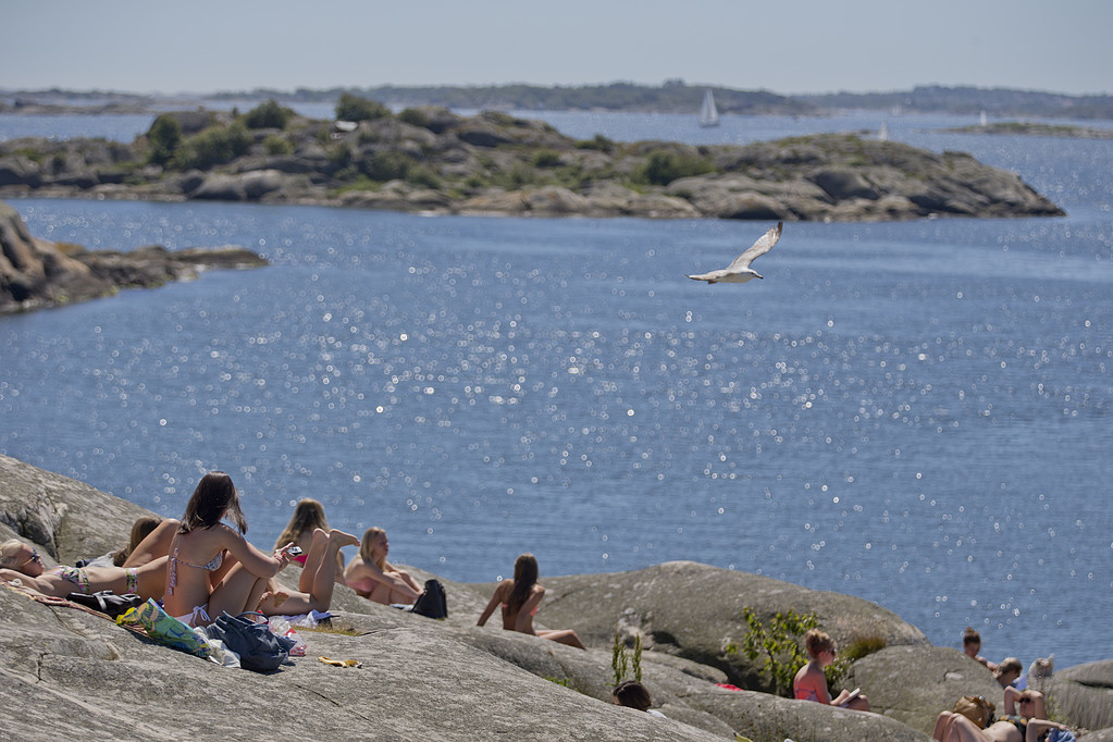 Sommar Sommar